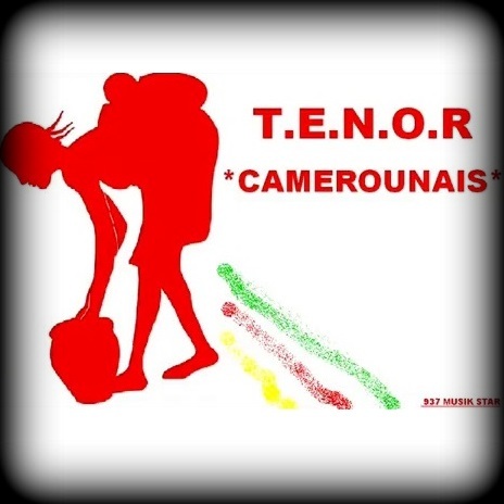 https://app.kamerlyrics.net/media/6913/camerounais-tenor.jpg